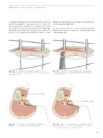 Advanced Craniomaxillofacial Surgery 2020 - Image 2