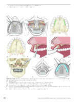 Advanced Craniomaxillofacial Surgery 2020 - Image 3