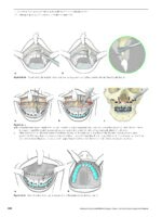 Advanced Craniomaxillofacial Surgery 2020 - Image 9