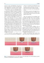 Minimally Invasive Approaches in Endodontic Practice 2021 - Image 11