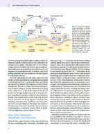 Modern Implant Dentistry 2023 - Image 11