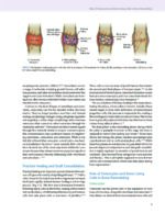 Modern Implant Dentistry 2023 - Image 12