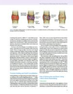 Modern Implant Dentistry 2023 - Image 12