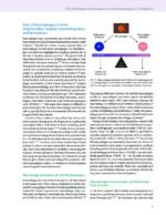 Modern Implant Dentistry 2023 - Image 14