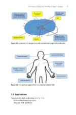 Nanotechnology in Conservative Dentistry 2021 - Image 7