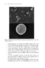 Nanotechnology in Conservative Dentistry 2021 - Image 4