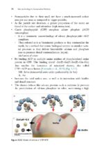 Nanotechnology in Conservative Dentistry 2021 - Image 3