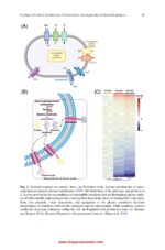 Oral Biofilms in Health and Disease  2025 - Image 2