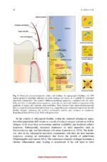Oral Biofilms in Health and Disease  2025 - Image 6