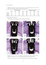 Osseointegrated Oral implants 2020 - Image 3