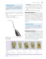 Power Instrumentation for the Dental Professional 2023 - Image 3