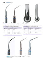 Power Instrumentation for the Dental Professional 2023 - Image 8