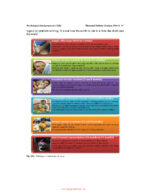 Illustrated Pediatric Dentistry (Part 1) 2022 - Image 2