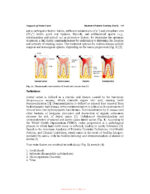 Illustrated Pediatric Dentistry (Part 1) 2022 - Image 5