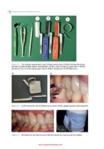 Practical Procedures in Dental Occlusion 2022 - Image 2