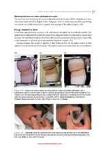 Practical Procedures in Dental Occlusion 2022 - Image 8
