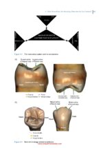 Practical Procedures in Dental Occlusion 2022 - Image 7