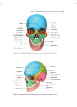 Practical Procedures in Implant Dentistry 2022 - Image 3
