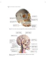 Practical Procedures in Implant Dentistry 2022 - Image 4