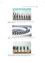 Practical Procedures in Implant Dentistry 2022 - Image 5