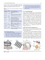 Radiobiology Textbook 2023 - Image 10