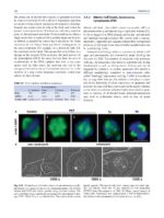 Radiobiology Textbook 2023 - Image 9