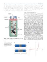 Radiobiology Textbook 2023 - Image 8