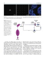 Radiobiology Textbook 2023 - Image 7