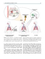 Radiobiology Textbook 2023 - Image 6