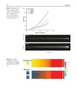 Radiobiology Textbook 2023 - Image 5