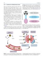 Radiobiology Textbook 2023 - Image 4