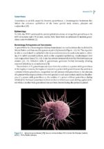 Sexually Transmissible Oral Diseases 2023 - Image 2