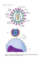 Sexually Transmissible Oral Diseases 2023 - Image 4