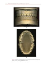 Temporomandibular Disorders A Problem-Based Approach 2nd 2021 - Image 5