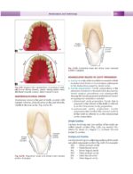 Textbook of Conservative & Restorative Dentistry 2020 - Image 2