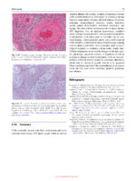 Textbook of General Pathology for Dental Students 2023 - Image 6