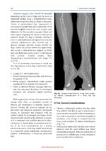 Complex Head and Neck Microvascular Surgery 2023 - Image 6