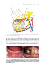 Dental Implants and Bone Grafts 2020 - Image 4