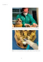 Dental Education 2022 - Image 5