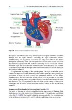 Midazolam in Pediatric Dentistry 2024 - Image 4