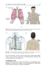 Midazolam in Pediatric Dentistry 2024 - Image 5
