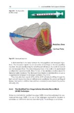 Midazolam in Pediatric Dentistry 2024 - Image 7