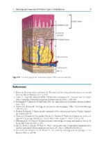 Peri-Implant Soft Tissue Management 2023 - Image 2