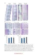 Vital Pulp Treatment  2024 - Image 2