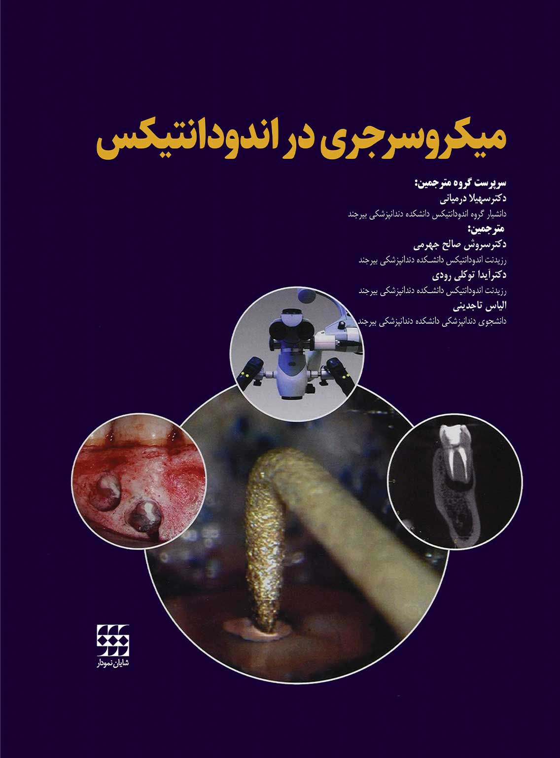 میکروسرجری در اندودانتیکس